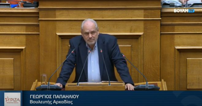 Παπαηλιού: "Το νερό πρέπει να παραμείνει δημόσιο κοινωνικό αγαθό για όλες τις χρήσεις και για όλους τους πολίτες"