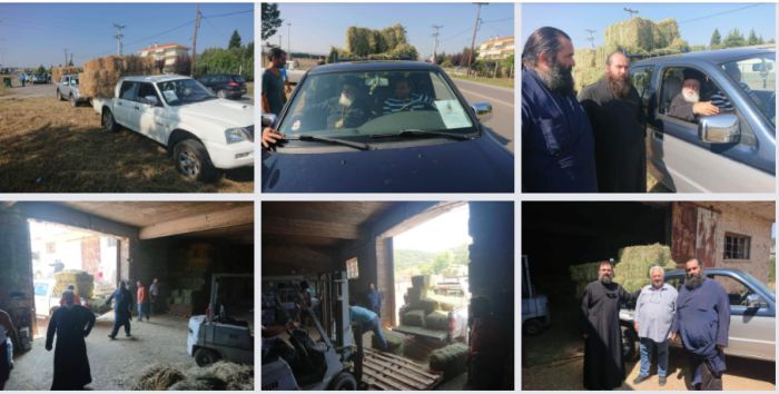 &Beta;&omicron;ή&theta;&epsilon;&iota;&alpha; &sigma;&tau;&omicron;&upsilon;&sigmaf; &pi;&upsilon;&rho;ό&pi;&lambda;&eta;&kappa;&tau;&omicron;&upsilon;&sigmaf; &tau;&eta;&sigmaf; &Gamma;&omicron;&rho;&tau;&upsilon;&nu;ί&alpha;&sigmaf; &alpha;&pi;ό &tau;&eta;&nu; &Mu;&eta;&tau;&rho;ό&pi;&omicron;&lambda;&eta; &Mu;&alpha;&nu;&tau;&iota;&nu;&epsilon;ί&alpha;&sigmaf; &kappa;&alpha;&iota; &Kappa;&upsilon;&nu;&omicron;&upsilon;&rho;ί&alpha;&sigmaf;! (&epsilon;&iota;&kappa;ό&nu;&epsilon;&sigmaf;)