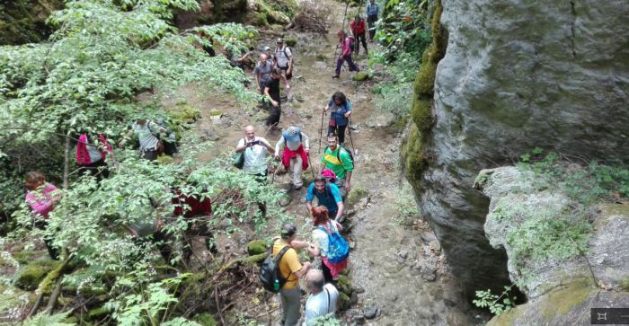 &Mu;&alpha;ί&nu;&alpha;&lambda;&omicron; - &Nu;έ&omicron; &mu;&omicron;&nu;&omicron;&pi;ά&tau;&iota;  &Pi;&iota;ά&nu;&alpha; - &Alpha;&rho;&kappa;&omicron;&upsilon;&delta;ό&rho;&epsilon;&mu;&alpha; - &Lambda;&iota;&mu;&pi;&omicron;&beta;ί&sigma;&iota; - &Epsilon;&lambda;ά&tau;&eta;" (&epsilon;&iota;&kappa;ό&nu;&epsilon;&sigmaf;)
