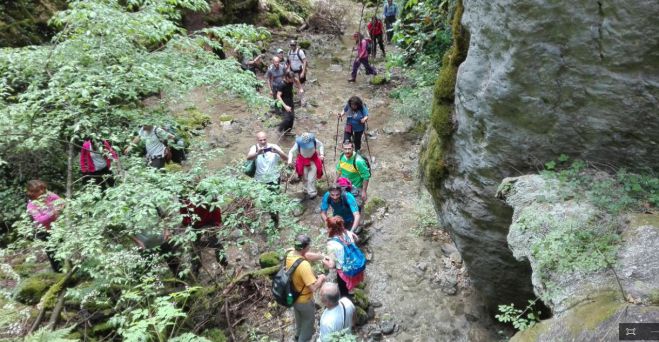 &Mu;&alpha;ί&nu;&alpha;&lambda;&omicron; - &Nu;έ&omicron; &mu;&omicron;&nu;&omicron;&pi;ά&tau;&iota;  &Pi;&iota;ά&nu;&alpha; - &Alpha;&rho;&kappa;&omicron;&upsilon;&delta;ό&rho;&epsilon;&mu;&alpha; - &Lambda;&iota;&mu;&pi;&omicron;&beta;ί&sigma;&iota; - &Epsilon;&lambda;ά&tau;&eta;" (&epsilon;&iota;&kappa;ό&nu;&epsilon;&sigmaf;)