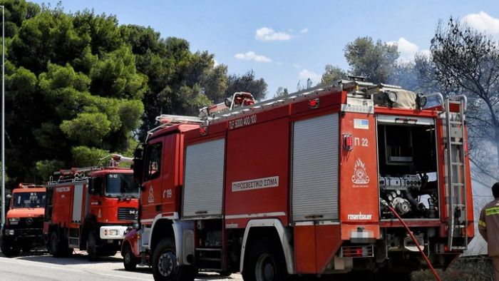 Σε ετοιμότητα στην Δημητσάνα για τις φωτιές | Ζητούνται εθελοντές και μηχανήματα - &quot;Μην μας εγκαταλείψετε&quot;