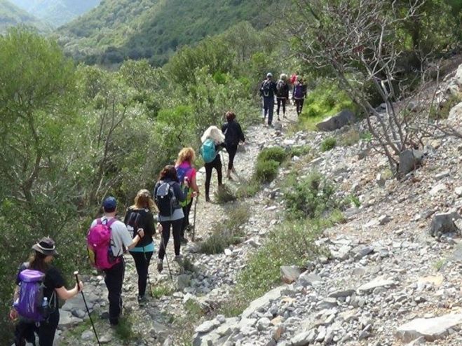&Epsilon;&pi;&iota;&sigma;&tau;&omicron;&lambda;ή &tau;&omicron;&upsilon; &pi;&epsilon;&rho;&iota;&phi;&epsilon;&rho;&epsilon;&iota;ά&rho;&chi;&eta; &Pi;&epsilon;&lambda;&omicron;&pi;&omicron;&nu;&nu;ή&sigma;&omicron;&upsilon; &Pi;. &Nu;ί&kappa;&alpha; &pi;&rho;&omicron;&sigmaf; &tau;&omicron;&upsilon;&sigmaf; &delta;ή&mu;&omicron;&upsilon;&sigmaf; &gamma;&iota;&alpha; &tau;&omicron; &epsilon;&theta;&nu;&iota;&kappa;ό &delta;ί&kappa;&tau;&upsilon;&omicron; &mu;&omicron;&nu;&omicron;&pi;&alpha;&tau;&iota;ώ&nu;