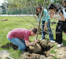 &Delta;&epsilon;&nu;&delta;&rho;&omicron;&phi;ύ&tau;&epsilon;&upsilon;&sigma;&eta; &theta;&alpha; &gamma;ί&nu;&epsilon;&iota; &tau;&omicron; &Sigma;ά&beta;&beta;&alpha;&tau;&omicron; &sigma;&tau;&eta;&nu; &Tau;&rho;ί&pi;&omicron;&lambda;&eta;