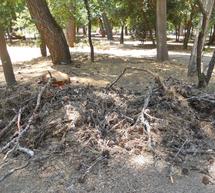 &Chi;&omega;&rho;ί&sigmaf; &phi;&omega;&tau;&iota;&sigma;&mu;ό, &gamma;&epsilon;&mu;ά&tau;&omicron; &sigma;&kappa;&omicron;&upsilon;&pi;ί&delta;&iota;&alpha; &kappa;&alpha;&iota; &epsilon;&gamma;&kappa;&alpha;&tau;&alpha;&lambda;&epsilon;&lambda;&epsilon;&iota;&mu;&mu;έ&nu;&omicron; &epsilon;ί&nu;&alpha;&iota; &pi;ά&rho;&kappa;&omicron; &sigma;&tau;&omicron; &kappa;έ&nu;&tau;&rho;&omicron; &tau;&eta;&sigmaf; &Tau;&rho;ί&pi;&omicron;&lambda;&eta;&sigmaf; (&epsilon;&iota;&kappa;ό&nu;&epsilon;&sigmaf;)