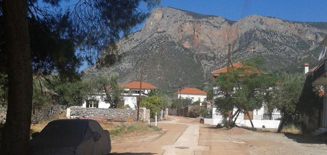 &Beta;&iota;&omicron;&lambda;&omicron;&gamma;&iota;&kappa;ό&sigmaf; &sigma;&tau;&omicron; &Lambda;&epsilon;&omega;&nu;ί&delta;&iota;&omicron;: &laquo;&Eta; &tau;&alpha;&lambda;&alpha;&iota;&pi;&omega;&rho;ί&alpha; &epsilon;ί&nu;&alpha;&iota; &pi;&rho;&omicron;&sigma;&omega;&rho;&iota;&nu;ή, &tau;&omicron; έ&rho;&gamma;&omicron; &gamma;&iota;&alpha; &pi;ά&nu;&tau;&alpha;&raquo; &lambda;έ&epsilon;&iota; &omicron; &Delta;ή&mu;&alpha;&rho;&chi;&omicron;&sigmaf;