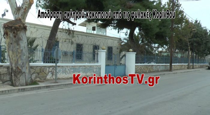 &Sigma;&tau;&eta;&nu; &Alpha;&rho;&kappa;&alpha;&delta;ί&alpha; &psi;ά&chi;&nu;&omicron;&upsilon;&nu; &tau;&omicron;&nu; &delta;&rho;&alpha;&pi;έ&tau;&eta; &alpha;&pi;ό &tau;&iota;&sigmaf; &phi;&upsilon;&lambda;&alpha;&kappa;έ&sigmaf; &Kappa;&omicron;&rho;ί&nu;&theta;&omicron;&upsilon; (vd)