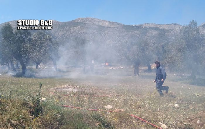 &Pi;&upsilon;&rho;&kappa;&alpha;&gamma;&iota;ά &xi;έ&sigma;&pi;&alpha;&sigma;&epsilon; &sigma;&tau;&eta;&nu; &Alpha;&rho;&gamma;&omicron;&lambda;ί&delta;&alpha;