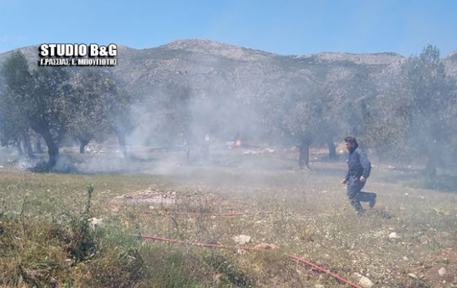 &Pi;&upsilon;&rho;&kappa;&alpha;&gamma;&iota;ά &xi;έ&sigma;&pi;&alpha;&sigma;&epsilon; &sigma;&tau;&eta;&nu; &Alpha;&rho;&gamma;&omicron;&lambda;ί&delta;&alpha;