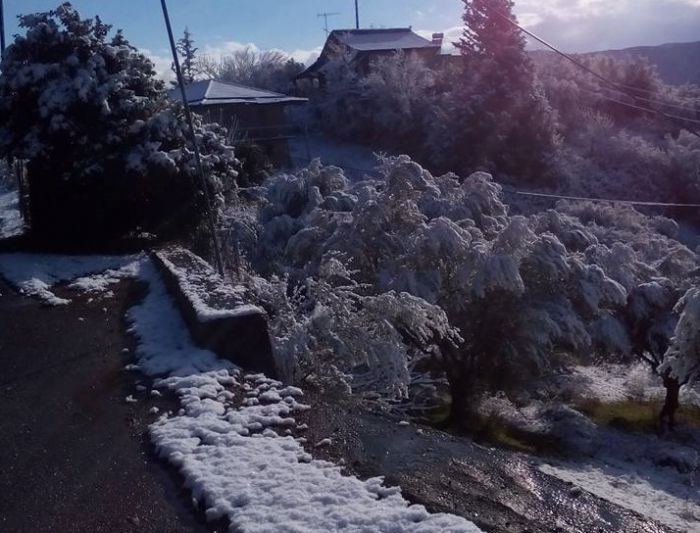 Γορτυνία - Λευκό από το χιόνι το Φαναράκι (εικόνες)