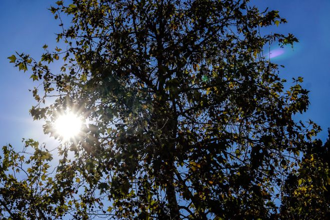 &Tau;&rho;ί&pi;&omicron;&lambda;&eta; | &Alpha;&pi;ό &tau;&iota;&sigmaf; &chi;&alpha;&mu;&eta;&lambda;ό&tau;&epsilon;&rho;&epsilon;&sigmaf; &theta;&epsilon;&rho;&mu;&omicron;&kappa;&rho;&alpha;&sigma;ί&epsilon;&sigmaf; &sigma;&epsilon; ό&lambda;&eta; &tau;&eta;&nu; &Epsilon;&lambda;&lambda;ά&delta;&alpha;!