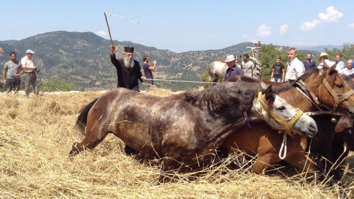 Για 17η χρονιά η αναπαράσταση του παραδοσιακού αλωνίσματος στο Βαλτεσινίκο! (εικόνες)