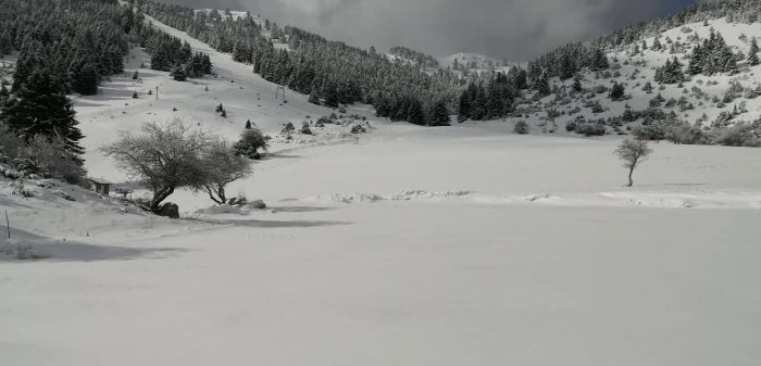 Ό&lambda;&alpha; &lambda;&epsilon;&upsilon;&kappa;ά &sigma;&tau;&omicron; &Chi;&iota;&omicron;&nu;&omicron;&delta;&rho;&omicron;&mu;&iota;&kappa;ό &Kappa;έ&nu;&tau;&rho;&omicron; &Omicron;&sigma;&tau;&rho;&alpha;&kappa;ί&nu;&alpha;&sigmaf;! (&epsilon;&iota;&kappa;ό&nu;&epsilon;&sigmaf;)
