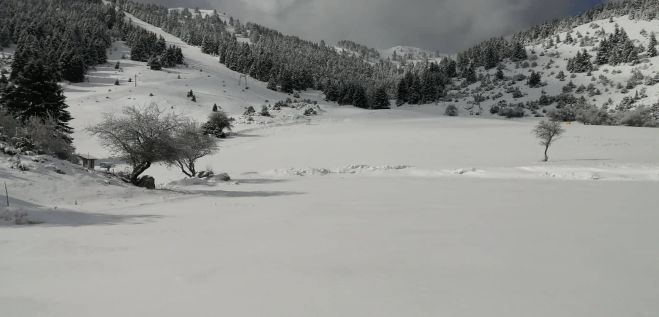 Ό&lambda;&alpha; &lambda;&epsilon;&upsilon;&kappa;ά &sigma;&tau;&omicron; &Chi;&iota;&omicron;&nu;&omicron;&delta;&rho;&omicron;&mu;&iota;&kappa;ό &Kappa;έ&nu;&tau;&rho;&omicron; &Omicron;&sigma;&tau;&rho;&alpha;&kappa;ί&nu;&alpha;&sigmaf;! (&epsilon;&iota;&kappa;ό&nu;&epsilon;&sigmaf;)