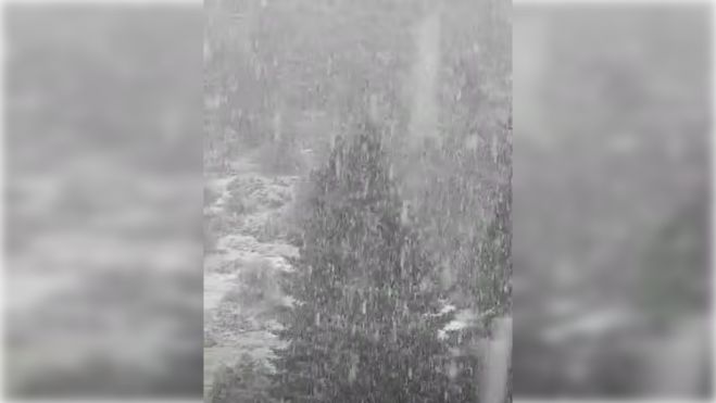 Πυκνή χιονόπτωση στο Μαίναλο | Ο Χειμώνας αρχίζει να δείχνει τα "δόντια" του! (vd)