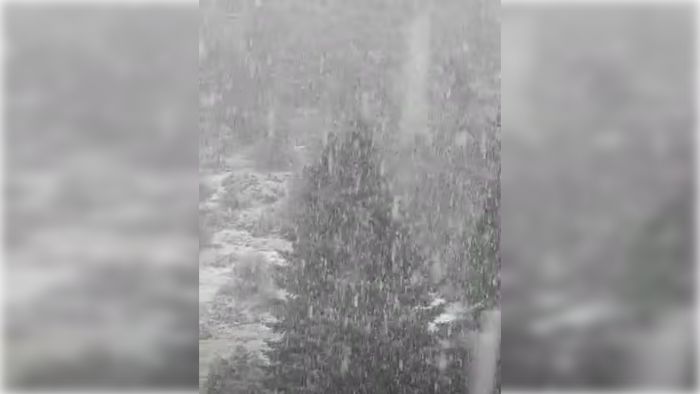 Πυκνή χιονόπτωση στο Μαίναλο | Ο Χειμώνας αρχίζει να δείχνει τα &quot;δόντια&quot; του! (vd)