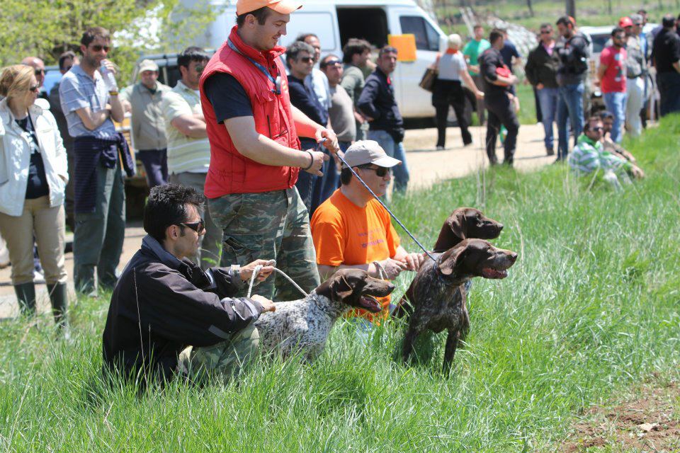 &Kappa;&upsilon;&nu;&omicron;&phi;&iota;&lambda;&iota;&kappa;ό &delta;&iota;ή&mu;&epsilon;&rho;&omicron; &tau;&omicron;&nu; &Alpha;&pi;&rho;ί&lambda;&iota;&omicron; &sigma;&tau;&eta;&nu; &Alpha;&rho;&kappa;&alpha;&delta;ί&alpha;!