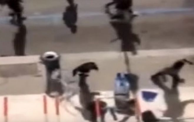Σκηνές σκληρής βίας - Άγριο ξύλο μεταξύ οπαδών (vd)