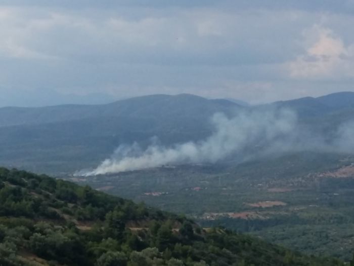 Πυρκαγιά ξέσπασε στα Κακουραίικα Γορτυνίας