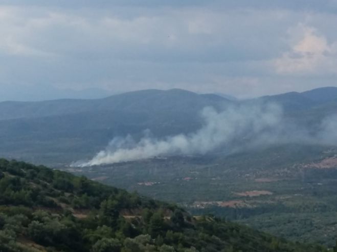 Πυρκαγιά ξέσπασε στα Κακουραίικα Γορτυνίας