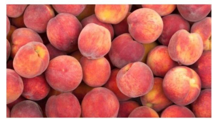 &Delta;&iota;&alpha;&nu;&omicron;&mu;ή &phi;&rho;&omicron;ύ&tau;&omega;&nu; &sigma;&tau;&omicron;&nu; &Delta;ή&mu;&omicron; &Mu;&epsilon;&gamma;&alpha;&lambda;ό&pi;&omicron;&lambda;&eta;&sigmaf;