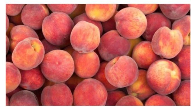 &Delta;&iota;&alpha;&nu;&omicron;&mu;ή &phi;&rho;&omicron;ύ&tau;&omega;&nu; &sigma;&tau;&omicron;&nu; &Delta;ή&mu;&omicron; &Mu;&epsilon;&gamma;&alpha;&lambda;ό&pi;&omicron;&lambda;&eta;&sigmaf;