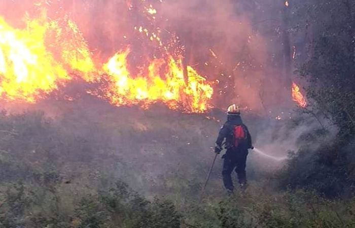 Η επίσημη ανακοίνωση της Πυροσβεστικής | Υπό μερικό έλεγχο η φωτιά στη Γορτυνία