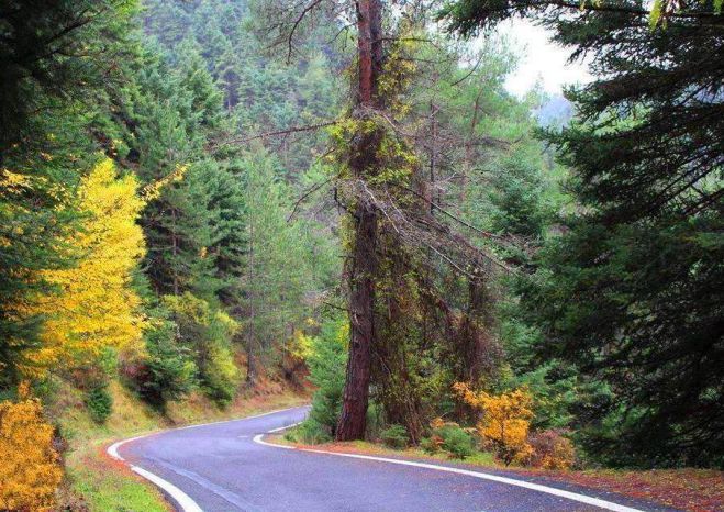 &Phi;&theta;&iota;&nu;&omicron;&pi;&omega;&rho;&iota;&nu;ά &chi;&rho;ώ&mu;&alpha;&tau;&alpha; &sigma;&tau;&eta;&nu; &Gamma;&omicron;&rho;&tau;&upsilon;&nu;ί&alpha;!