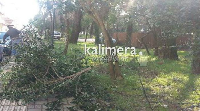 &Epsilon;&rho;&gamma;&alpha;&sigma;ί&epsilon;&sigmaf; &kappa;&alpha;&theta;&alpha;&rho;&iota;&sigma;&mu;&omicron;ύ &sigma;&epsilon; &pi;ά&rho;&kappa;&alpha; &tau;&eta;&sigmaf; &Tau;&rho;ί&pi;&omicron;&lambda;&eta;&sigmaf;! (&epsilon;&iota;&kappa;ό&nu;&epsilon;&sigmaf;)