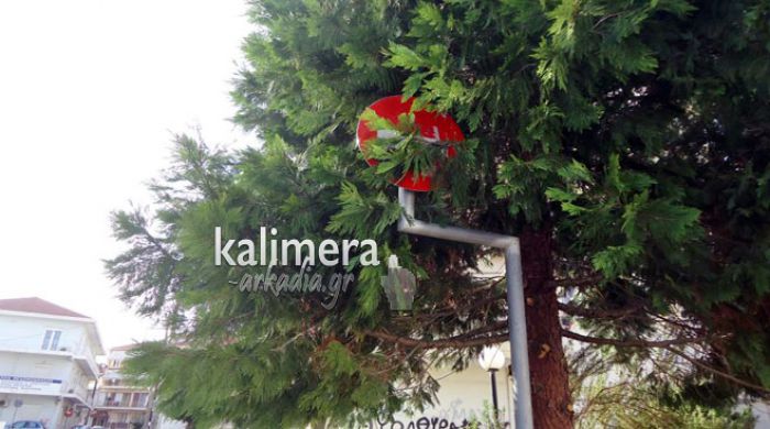 &Omicron;&iota; &laquo;&kappa;&rho;&upsilon;&mu;&mu;έ&nu;&epsilon;&sigmaf;&raquo; &pi;&iota;&nu;&alpha;&kappa;ί&delta;&epsilon;&sigmaf; &kappa;&alpha;&iota; &omicron;&iota; &hellip; &sigma;&tau;&omicron;&lambda;&iota;&sigma;&mu;έ&nu;&omicron;&iota; &kappa;&alpha;&theta;&rho;έ&phi;&tau;&epsilon;&sigmaf; &sigma;&tau;&omicron;&upsilon;&sigmaf; &delta;&rho;ό&mu;&omicron;&upsilon;&sigmaf; &tau;&eta;&sigmaf; &Tau;&rho;ί&pi;&omicron;&lambda;&eta;&sigmaf; (&epsilon;&iota;&kappa;ό&nu;&epsilon;&sigmaf;)!