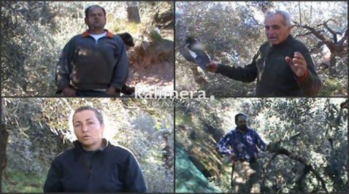 &Mu;&epsilon;&gamma;ά&lambda;&epsilon;&sigmaf; &zeta;&eta;&mu;&iota;έ&sigmaf; &sigma;&epsilon; &epsilon;&lambda;&alpha;&iota;&omicron;&kappa;&alpha;&lambda;&lambda;&iota;έ&rho;&gamma;&epsilon;&iota;&epsilon;&sigmaf; &tau;&eta;&sigmaf; &Sigma;&kappa;&upsilon;&rho;ί&tau;&iota;&delta;&alpha;&sigmaf;, &tau;&omicron;&upsilon; &Beta;&alpha;&lambda;&tau;&epsilon;&tau;&sigma;ί&omicron;&upsilon; &kappa;&alpha;&iota; &tau;&omicron;&upsilon; &Kappa;&omicron;&rho;&upsilon;&theta;ί&omicron;&upsilon;