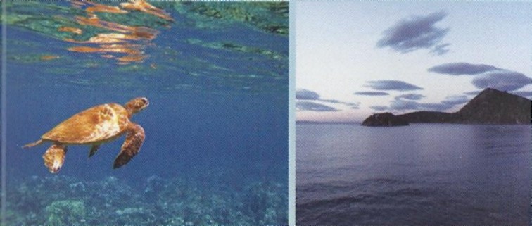 &Theta;&alpha;&lambda;ά&sigma;&sigma;&iota;&alpha; &Sigma;&tau;&rho;&alpha;&tau;&eta;&gamma;&iota;&kappa;ή &sigma;&tau;&eta;&nu; &Pi;&epsilon;&lambda;&omicron;&pi;ό&nu;&nu;&eta;&sigma;&omicron;