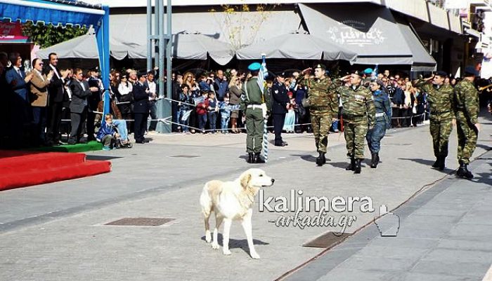 &Pi;&alpha;&rho;έ&lambda;&alpha;&sigma;&epsilon; &kappa;&alpha;&iota; &hellip; &sigma;&kappa;ύ&lambda;&omicron;&sigmaf; &tau;&eta;&nu; &laquo;28&eta; &Omicron;&kappa;&tau;&omega;&beta;&rho;ί&omicron;&upsilon;&raquo; &sigma;&tau;&eta;&nu; &Tau;&rho;ί&pi;&omicron;&lambda;&eta; (vd)!