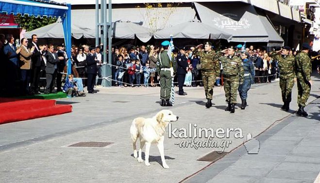 &Pi;&alpha;&rho;έ&lambda;&alpha;&sigma;&epsilon; &kappa;&alpha;&iota; &hellip; &sigma;&kappa;ύ&lambda;&omicron;&sigmaf; &tau;&eta;&nu; &laquo;28&eta; &Omicron;&kappa;&tau;&omega;&beta;&rho;ί&omicron;&upsilon;&raquo; &sigma;&tau;&eta;&nu; &Tau;&rho;ί&pi;&omicron;&lambda;&eta; (vd)!