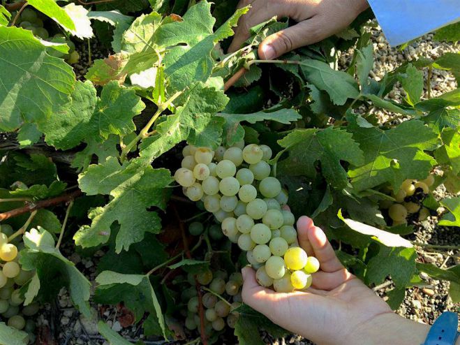 &laquo;&Alpha;&nu;&omicron;&iota;&chi;&tau;έ&sigmaf; &Pi;ό&rho;&tau;&epsilon;&sigmaf;&raquo; &sigma;&epsilon; &omicron;&iota;&nu;&omicron;&pi;&omicron;&iota;&epsilon;ί&alpha; (&kappa;&alpha;&iota;) &tau;&eta;&sigmaf; &Alpha;&rho;&kappa;&alpha;&delta;ί&alpha;&sigmaf;!