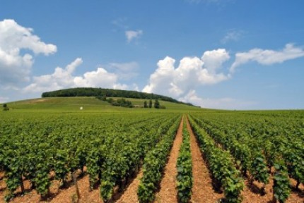 Έ&rho;&epsilon;&upsilon;&nu;&alpha; &Delta;&iota;ά&rho;&theta;&rho;&omega;&sigma;&eta;&sigmaf; &Gamma;&epsilon;&omega;&rho;&gamma;&iota;&kappa;ώ&nu; &kappa;&alpha;&iota; &Kappa;&tau;&eta;&nu;&omicron;&tau;&rho;&omicron;&phi;&iota;&kappa;ώ&nu; &Epsilon;&kappa;&mu;&epsilon;&tau;&alpha;&lambda;&lambda;&epsilon;ύ&sigma;&epsilon;&omega;&nu; &kappa;&alpha;&iota; &gamma;&iota;&alpha; &tau;&eta;&nu; &Alpha;&rho;&kappa;&alpha;&delta;ί&alpha;