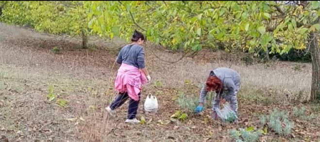 Καρυδομαζέματα στα Πηγαδάκια Αρκαδίας (vd)