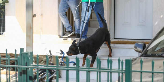 «Το ροτβάιλερ χτυπούσε το μωρό στους τοίχους» - Σοκάρει η ιατροδικαστική έκθεση