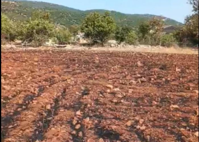 Οι ευχαριστίες του δήμου Νότιας Κυνουρίας για την αντιμετώπιση της πυρκαγιάς στον οικισμό της Άνω Βασκίνας