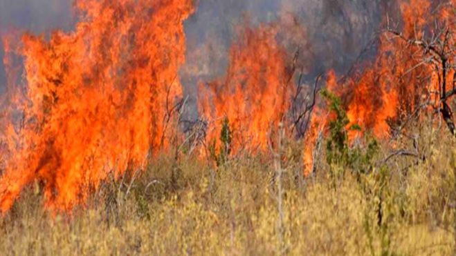 &Pi;&upsilon;&rho;&kappa;&alpha;&gamma;&iota;έ&sigmaf; | &Epsilon;&kappa;&kappa;&epsilon;&nu;ώ&nu;&omicron;&nu;&tau;&alpha;&iota; &pi;&epsilon;&rho;&iota;&omicron;&chi;έ&sigmaf; &sigma;&tau;&eta; &Lambda;&alpha;&mu;ί&alpha;