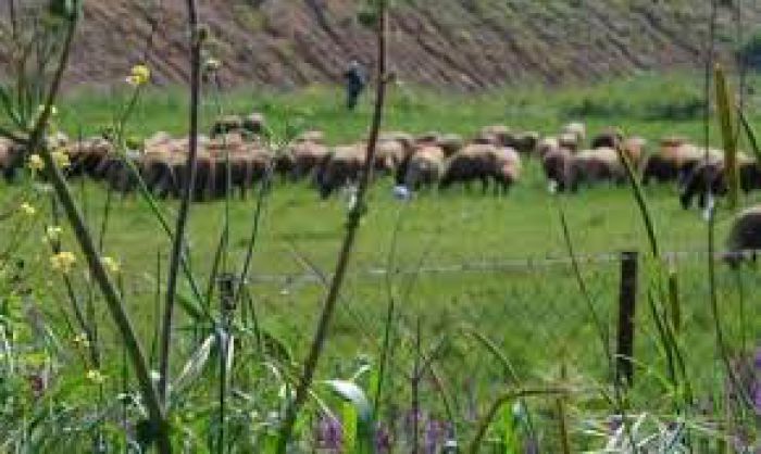 &Pi;&lambda;&eta;&rho;ώ&theta;&eta;&kappa;&alpha;&nu; &omicron;&iota; &delta;&iota;&kappa;&alpha;&iota;&omicron;ύ&chi;&omicron;&iota; &tau;&eta;&sigmaf; &epsilon;&xi;&iota;&sigma;&omega;&tau;&iota;&kappa;ή&sigmaf; 2021