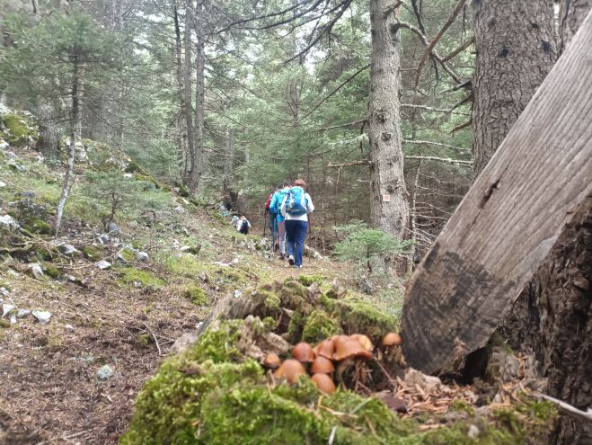 &Pi;&epsilon;&zeta;&omicron;&pi;ό&rho;&omicron;&iota; &alpha;&pi;ό &tau;&omicron;&nu; &Pi;&epsilon;&iota;&rho;&alpha;&iota;ά &pi;&epsilon;&rho;&pi;ά&tau;&eta;&sigma;&alpha;&nu; &sigma;&tau;&omicron; &pi;&alpha;&nu;έ&mu;&omicron;&rho;&phi;&omicron; &Phi;&theta;&iota;&nu;&omicron;&pi;&omega;&rho;&iota;&nu;ό &Mu;&alpha;ί&nu;&alpha;&lambda;&omicron; (&epsilon;&iota;&kappa;ό&nu;&epsilon;&sigmaf;)