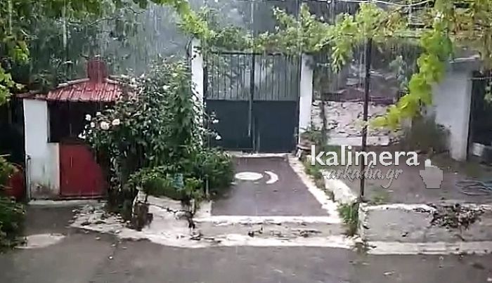 &Kappa;&alpha;&kappa;&omicron;&kappa;&alpha;&iota;&rho;ί&alpha; | &Beta;&rho;&omicron;&chi;ή &kappa;&alpha;&iota; &chi;&alpha;&lambda;ά&zeta;&iota; &sigma;&tau;&eta; &Beta;&lambda;&alpha;&chi;&omicron;&kappa;&epsilon;&rho;&alpha;&sigma;&iota;ά (vd)