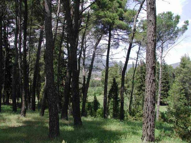 Περίπατος με τον Ορειβατικό στην Τρίπολη!