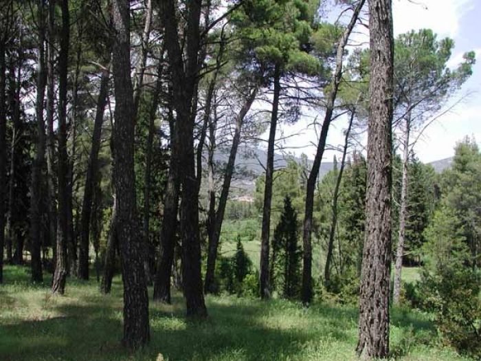Περίπατος με τον Ορειβατικό στην Τρίπολη!