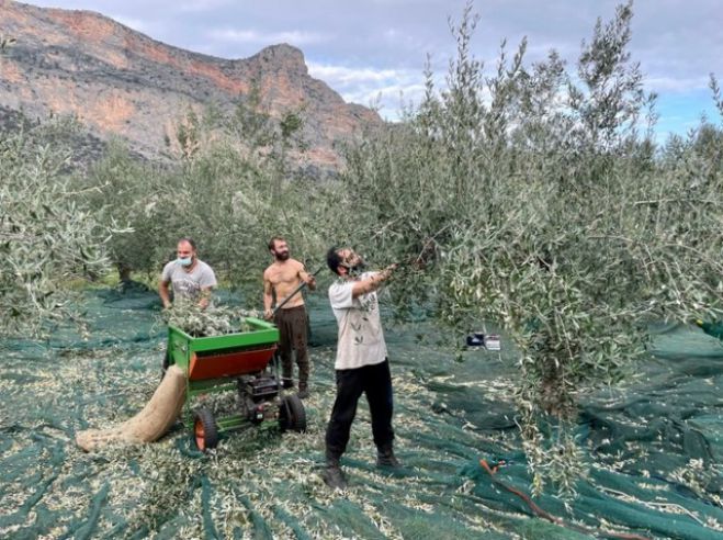 Λεωνίδιο | Η ζωή στο L.A. της Ελλάδας!
