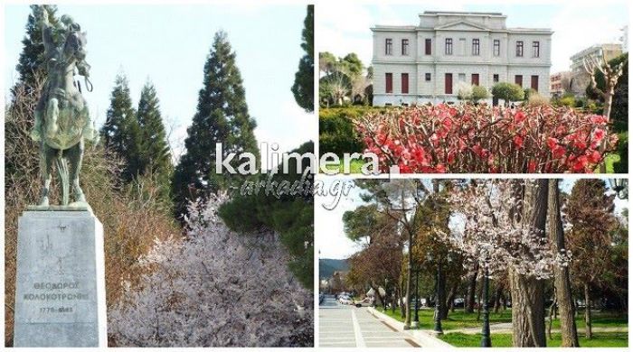 Ανθισμένες γωνιές στην πόλη της Τρίπολης! (εικόνες)