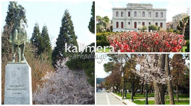 Ανθισμένες γωνιές στην πόλη της Τρίπολης! (εικόνες)