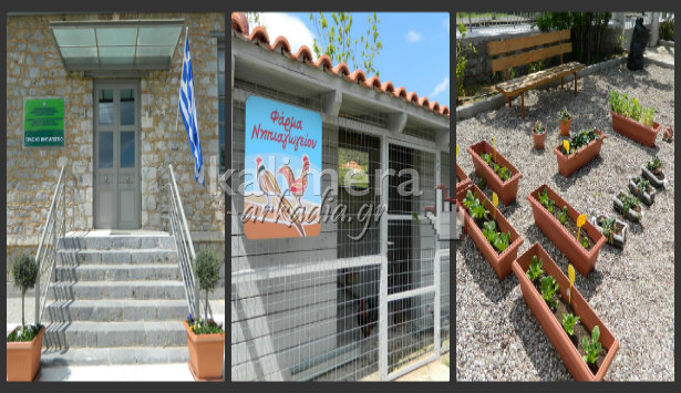 Μεγάλο ενδιαφέρον για το πράσινο νηπιαγωγείο στο Μερκοβούνι (εικόνες)