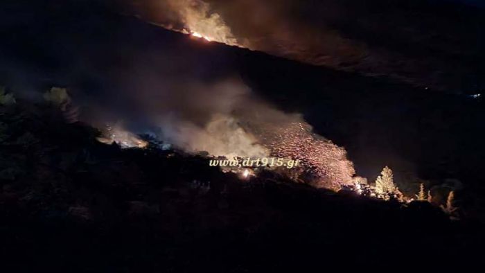 Φωτιά ξέσπασε στο Παρθένι (εικόνες)
