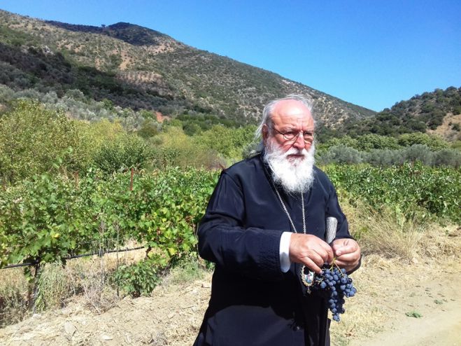 &Omicron; &Mu;&eta;&tau;&rho;&omicron;&pi;&omicron;&lambda;ί&tau;&eta;&sigmaf; &Alpha;&lambda;έ&xi;&alpha;&nu;&delta;&rho;&omicron;&sigmaf; &sigma;&epsilon; &alpha;&mu;&pi;&epsilon;&lambda;ώ&nu;&alpha; &tau;&eta;&sigmaf; &Pi;&epsilon;&rho;&delta;&iota;&kappa;ό&beta;&rho;&upsilon;&sigma;&eta;&sigmaf;! (&epsilon;&iota;&kappa;ό&nu;&epsilon;&sigmaf;)